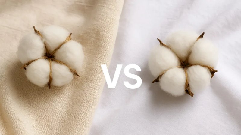 Organic Cotton vs Conventional Cotton: What UK Fashion Brands Need to Know in 2026
